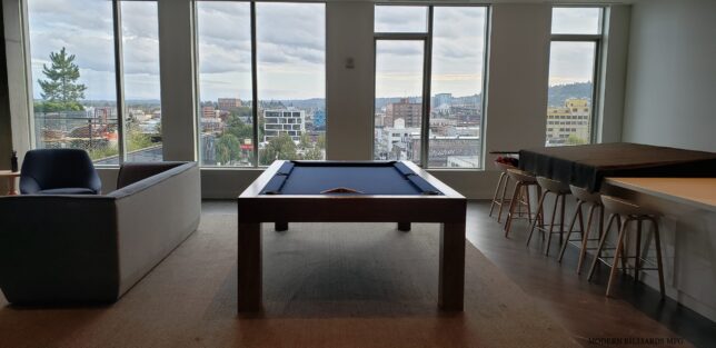 Modern Teak Stain Pool Table (Copy) (Copy)